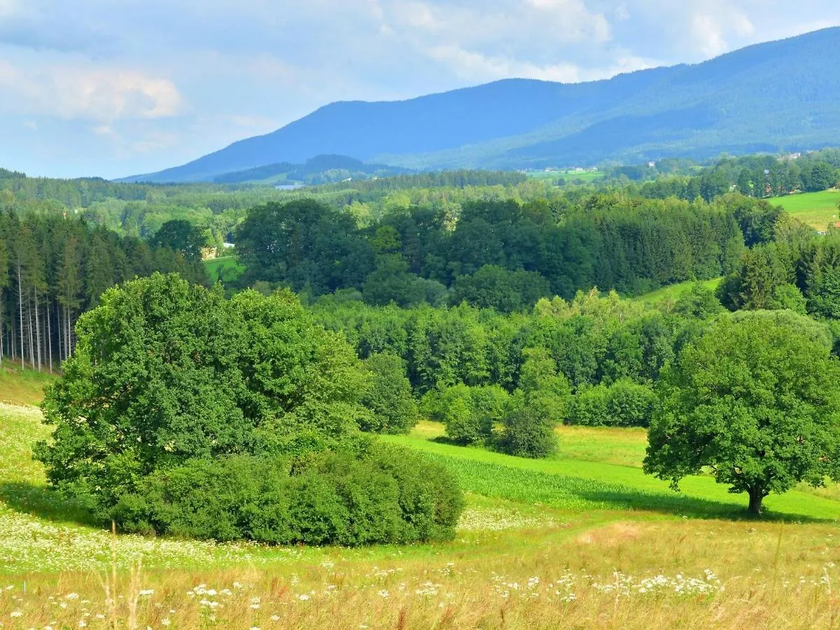 Holiday Home In The Bavarian Forest دراخسيلسريد